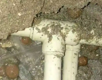 朗县测漏水多少钱