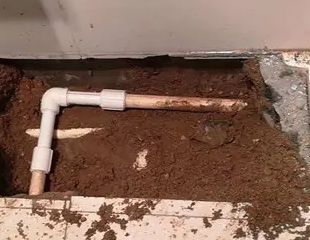 朗县测漏水哪家好