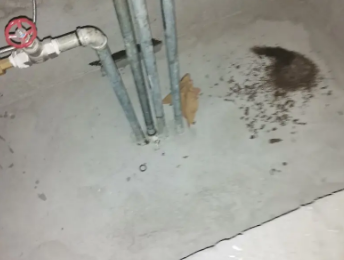 朗县卫生间测漏水价格明细