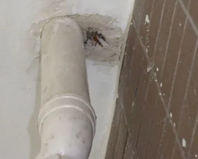 朗县漏水检测哪家好